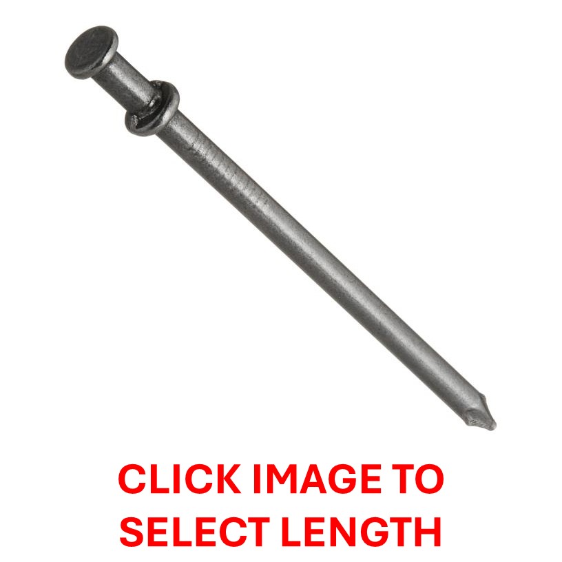 Rental store for NAILS DUPLEX in Sunnyvale CA