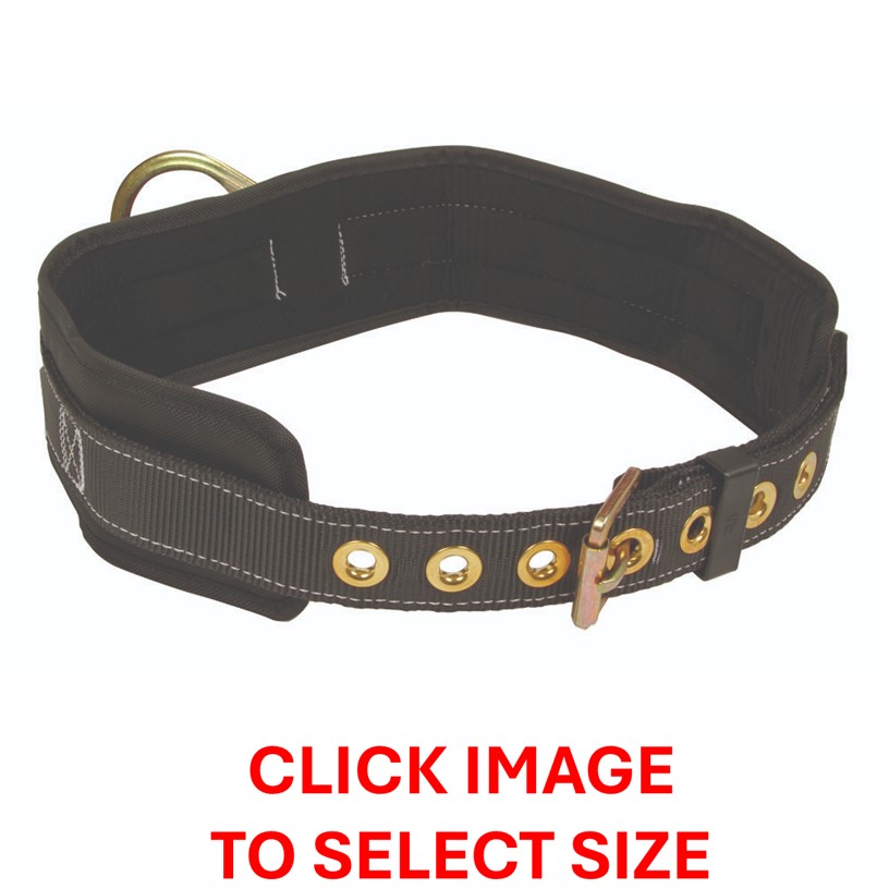 Rental store for SAFETY BODY BELT in Sunnyvale CA